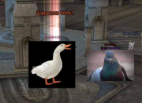 paperella vs piccione.png