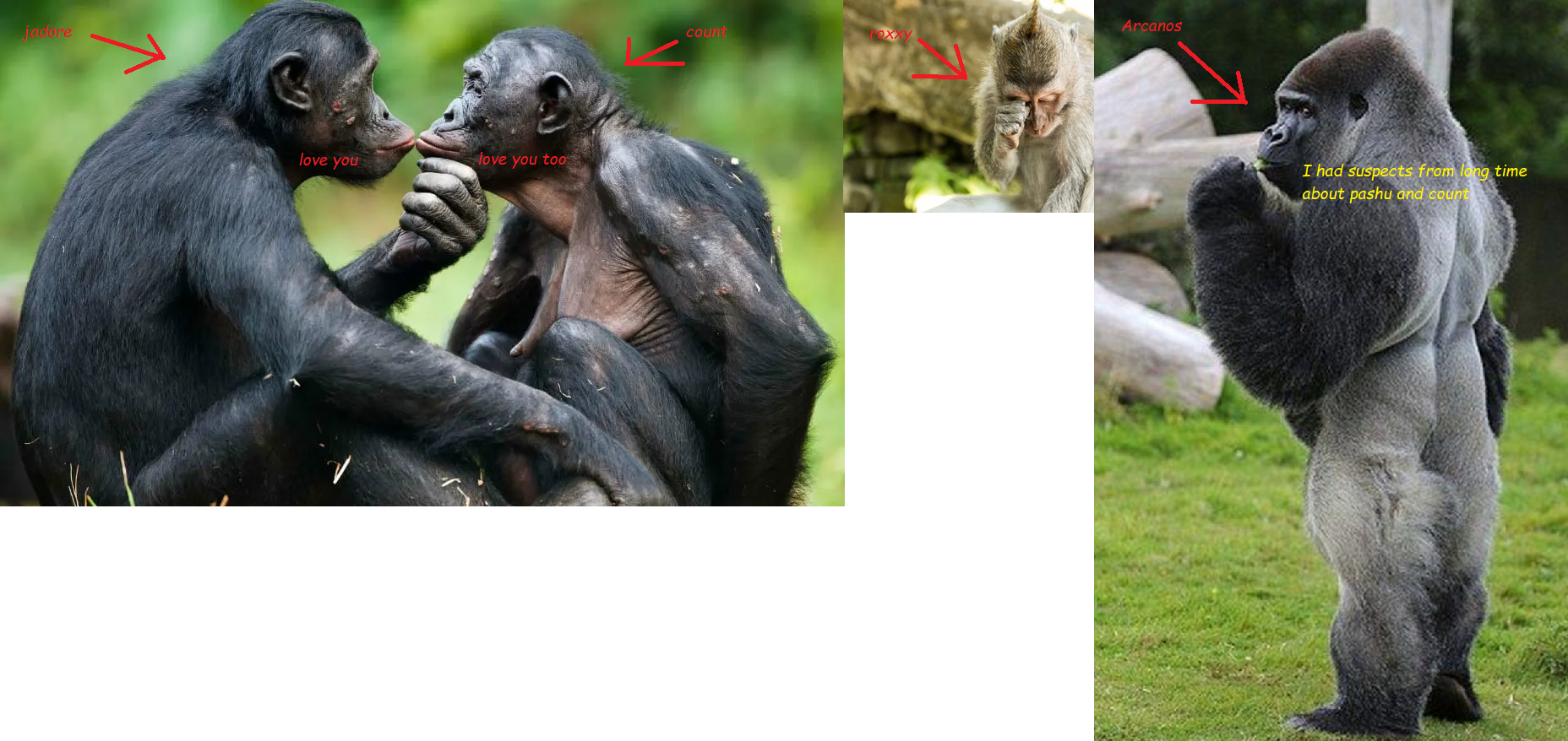 pashu & count love, roxxy cry, arcanos knew everything.png