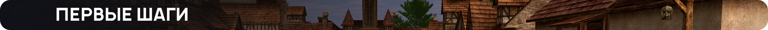 первые шаги.png