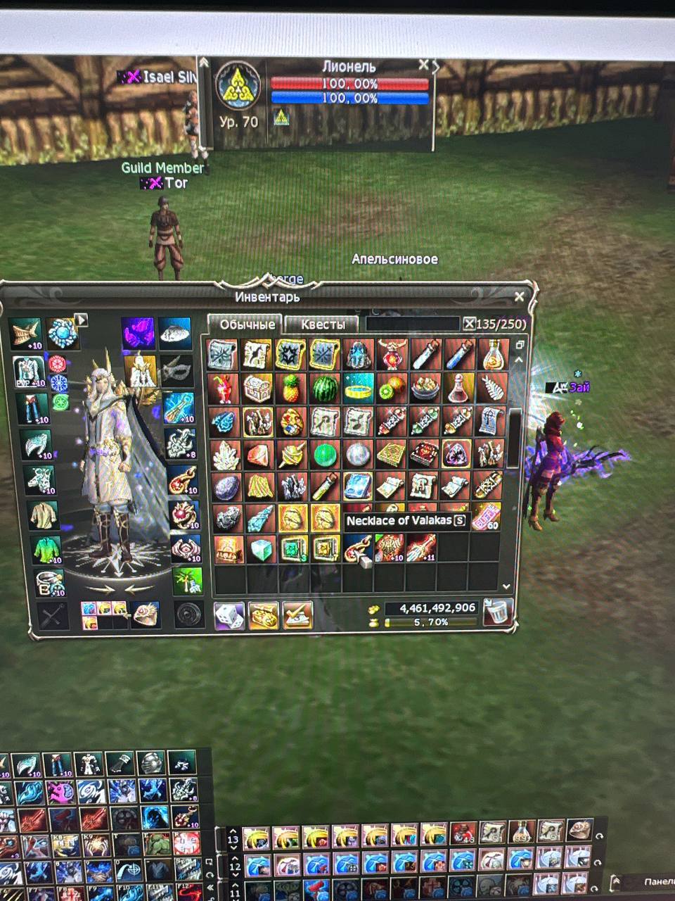 photo_2023-06-06 02.45.15.jpeg