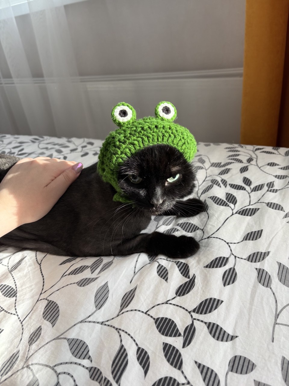 photo_2025-10-03_22-03-38 (2).jpg