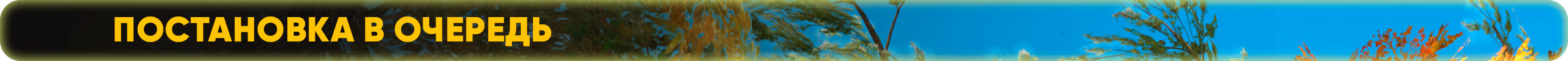 постановка в очередь.png