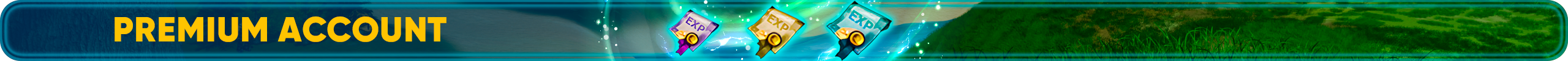 Premium Account.png