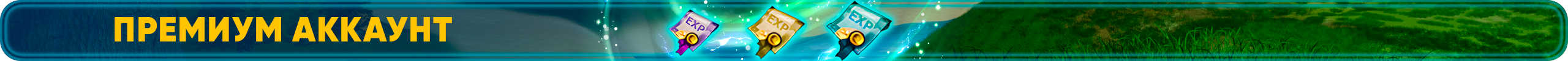 Премиум Аккаунт (1).png