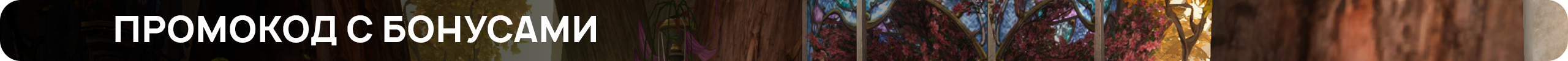 промо.png