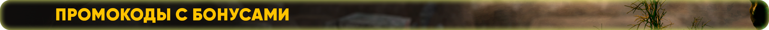 Промокоды с бонусами (1).png