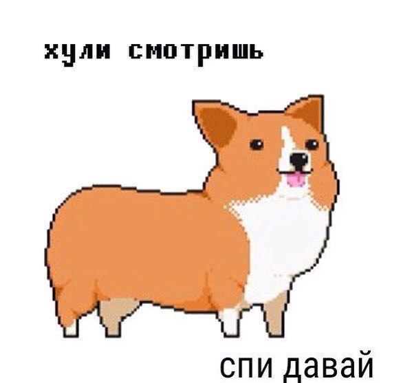qPwOVpQgGRQ.jpg