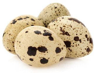 quail-egg.jpg