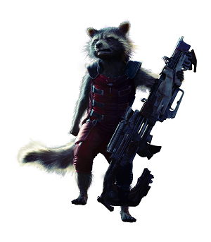 racoon.png