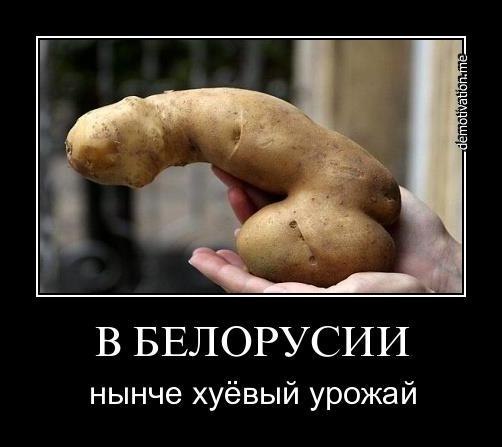 рпр.jpeg
