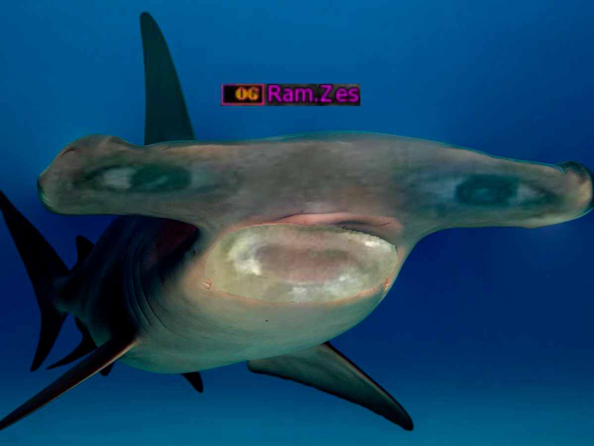 РЫБА ЧУДИЩЕ.png