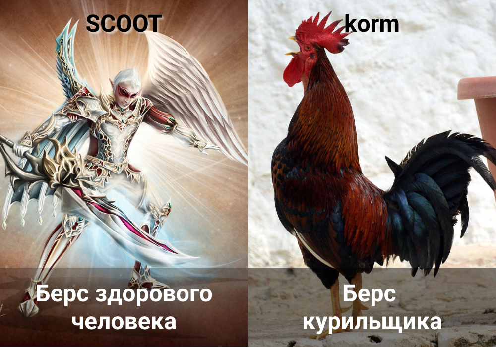 scoot-korm.png