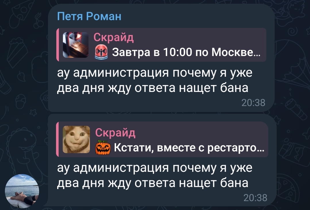 Screenshot_20241101_140648_Telegram.jpg