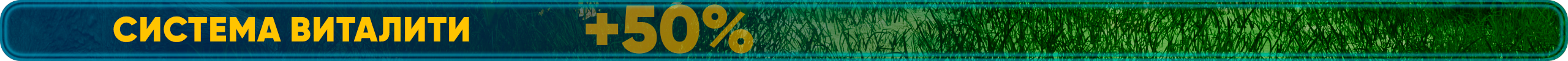 Система Виталити.png