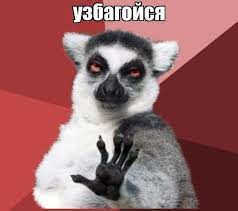 скачанные файлы (1).jpg