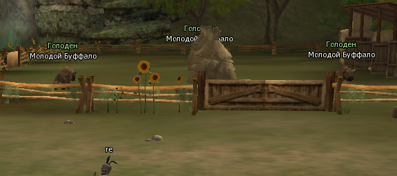 Снимок экрана 2025-02-21 160607.png