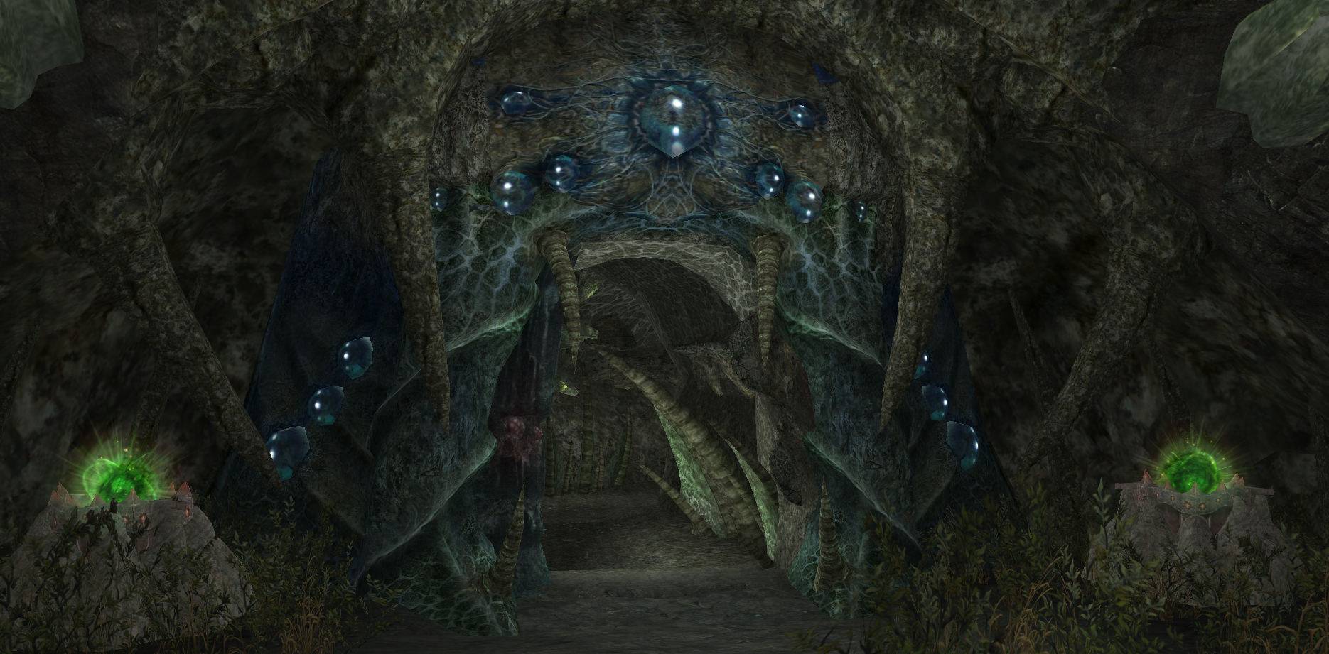 SOA ящерицы.png