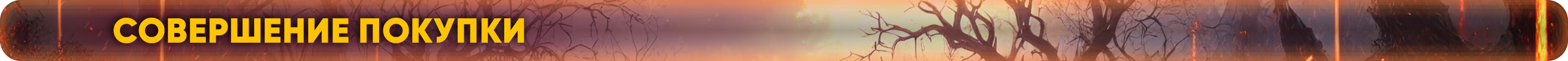 Совершение-Покупки.png