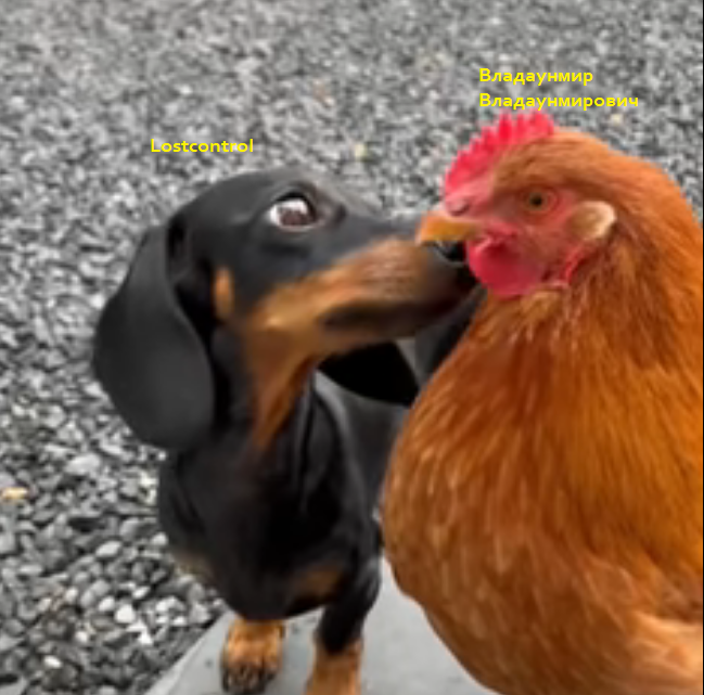 Spectranal and Gaybred.png