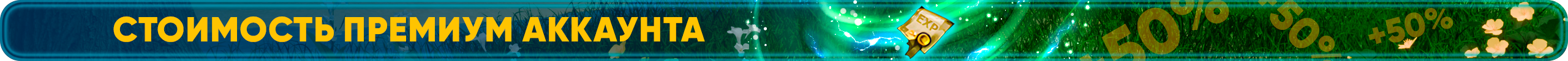 Стоимость Премиум Аккаунта.png