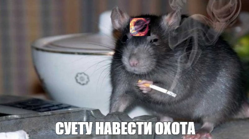 суетолог.PNG