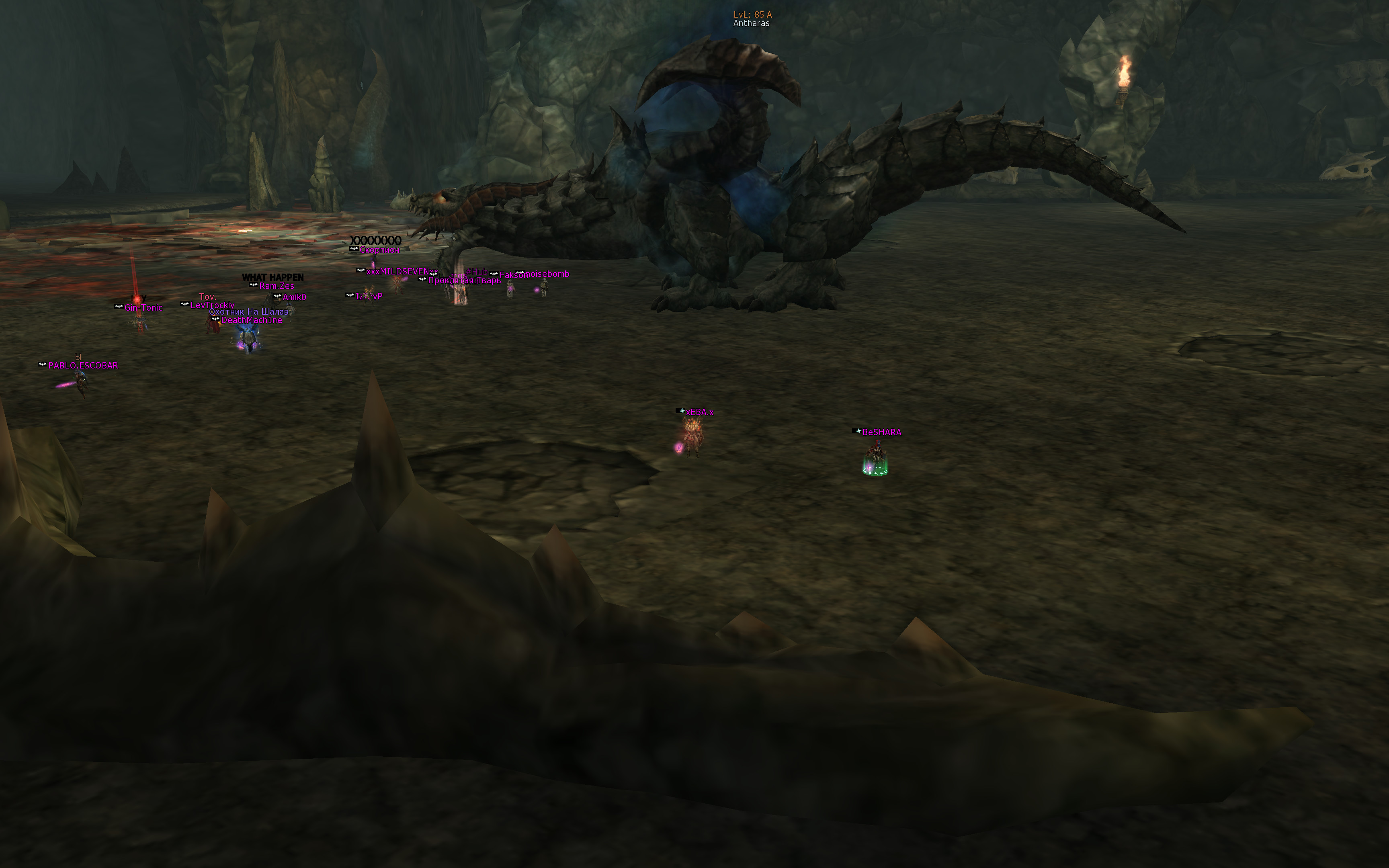 Тарасик (3).jpg