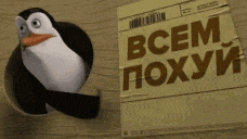 tenor.gif