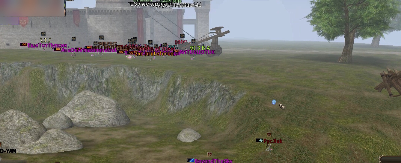 tw1.jpg