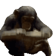 twitch-moderators-monke.gif