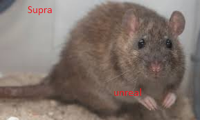 unrealrat.png