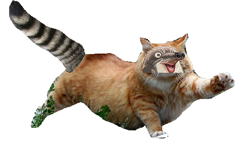 upload_2016-1-25_5-20-9.png