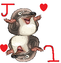 upload_2016-3-24_3-57-47.png