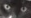 upload_2017-1-16_15-20-5.png