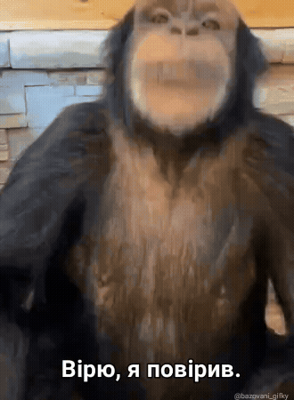 viryu.gif