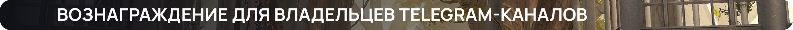Вознаграждение для владельцев Telegram-каналов.png
