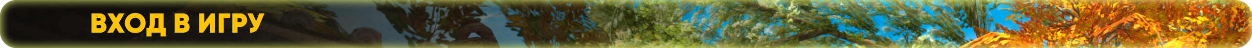 вход в игру.png