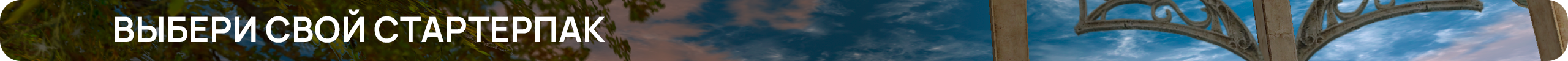 Выбери свой стартерпак.png