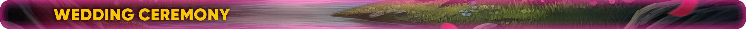 Wedding Ceremony.png