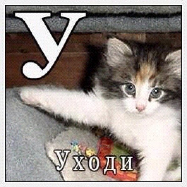 x8MdY3c-Co0.jpg