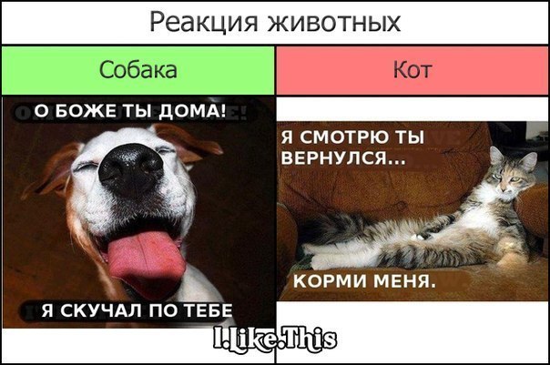 x_efb6b495.jpg