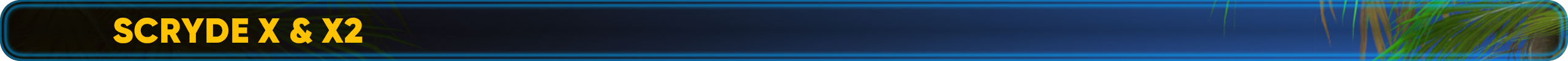 XX2.png