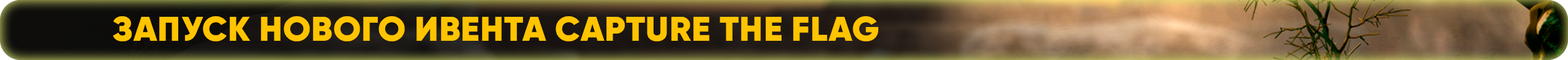 Запуск нового ивента Capture the Flag.png