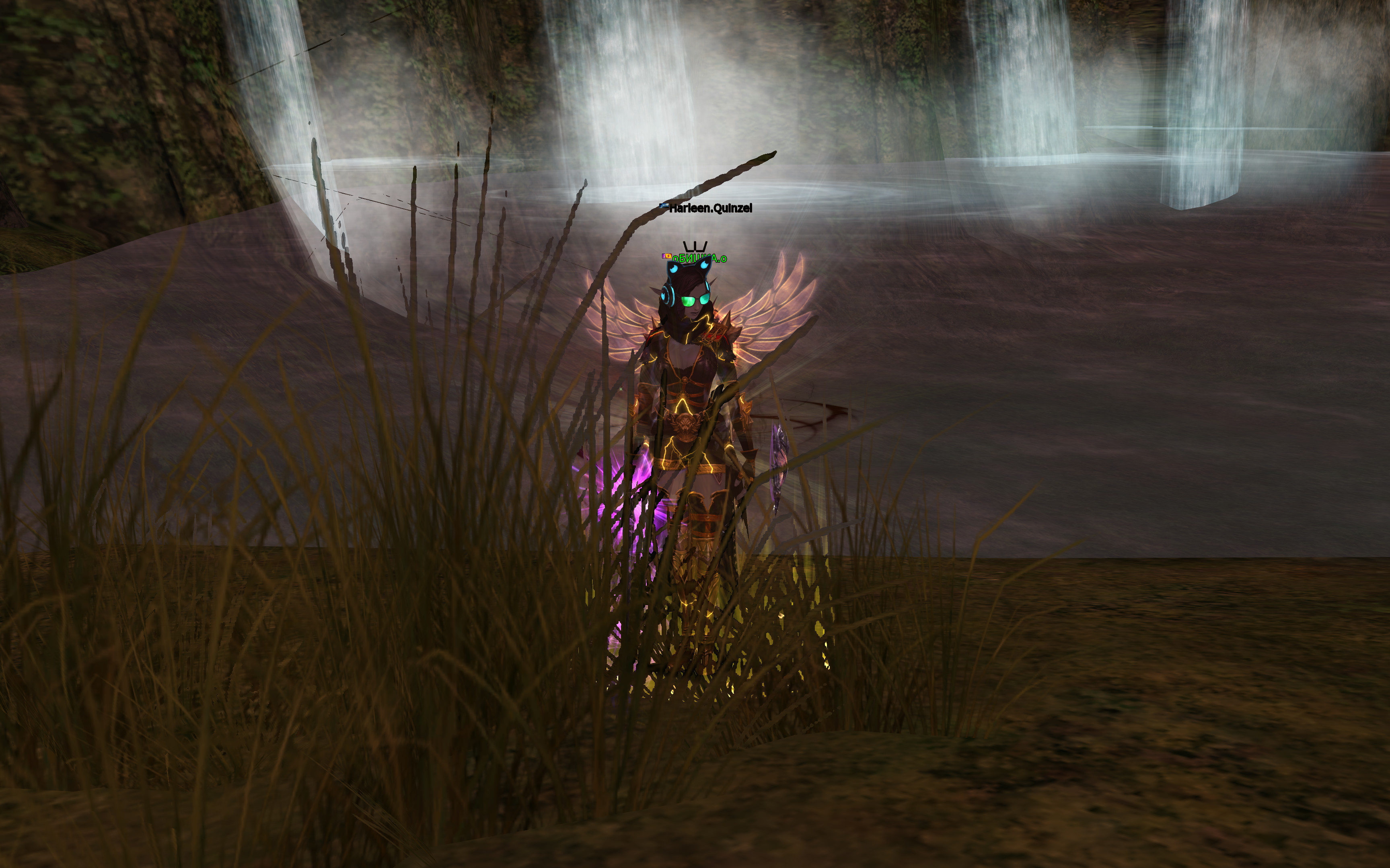 ZemlyachkaLLL (1).jpg