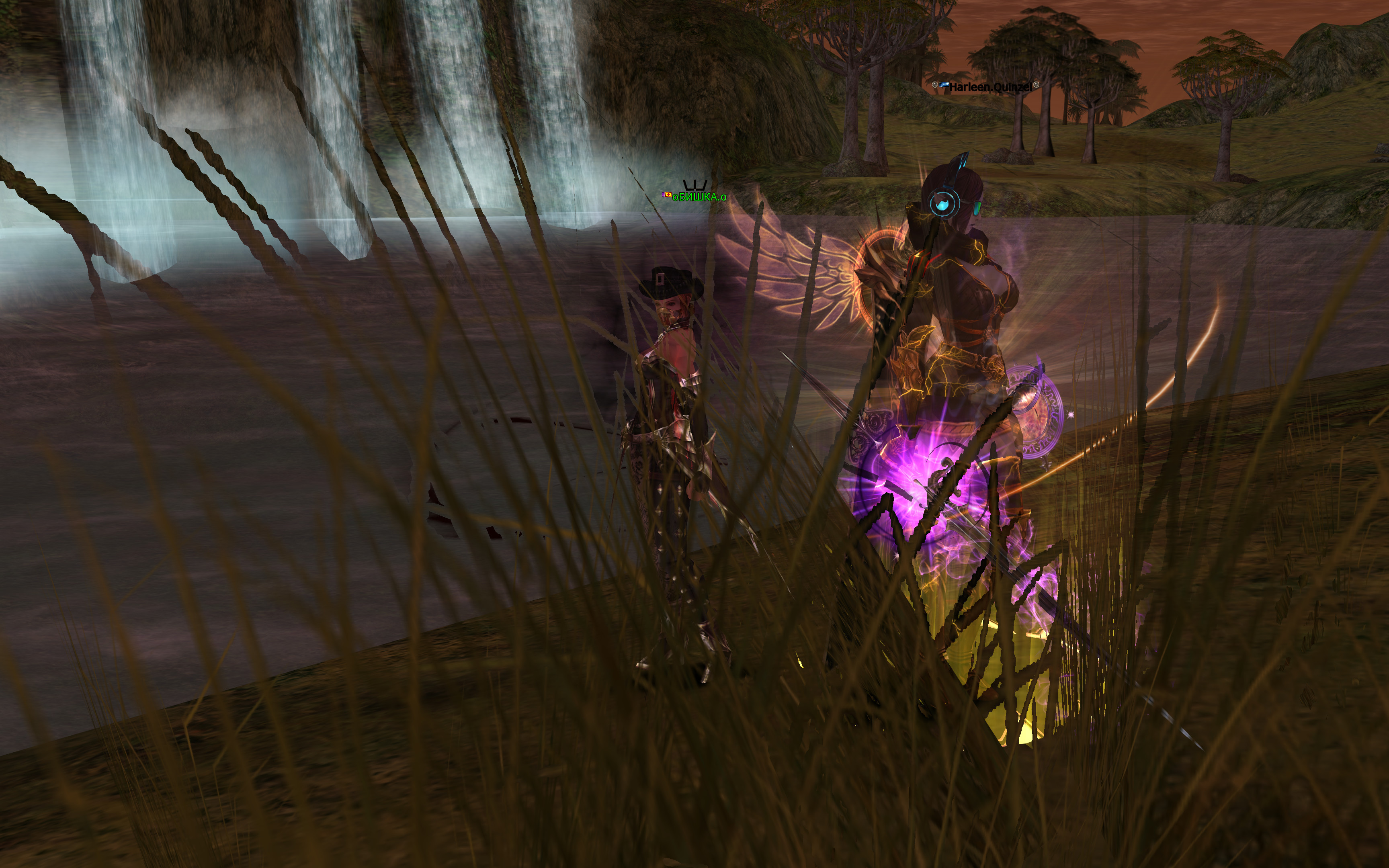 ZemlyachkaLLL (2).jpg