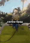 обезьянка-здоровается-здоровается-обезьяна.gif