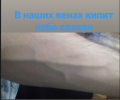 НЕБО СЛАВЯН.png