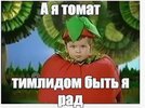 томат.JPG