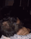 нихуясебе.gif
