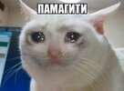 IMG_4446.jpeg