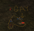 IMG_1415.png